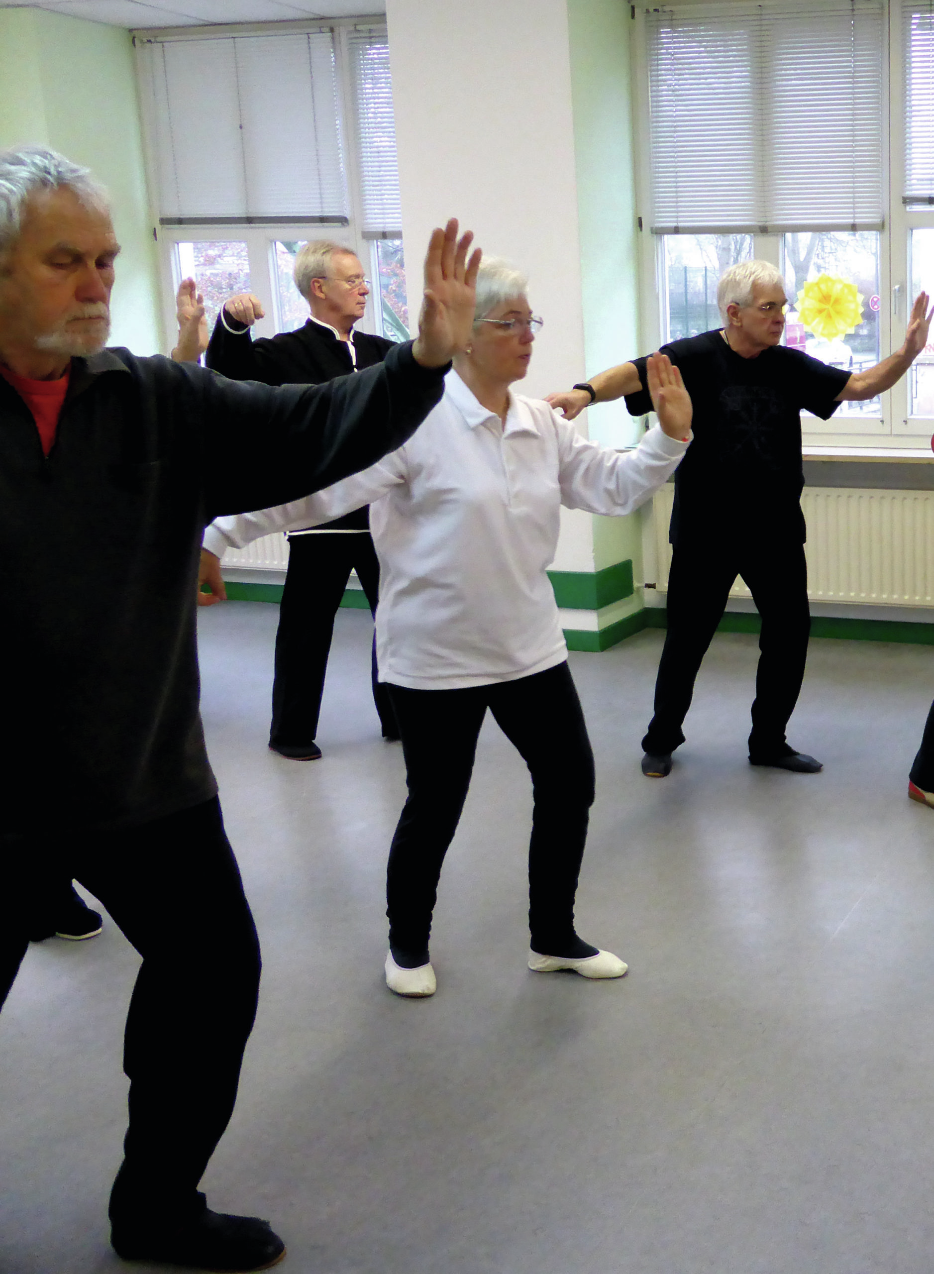 Read more about the article Tai Chi / Tai Chi-Chi Gong