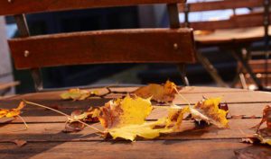 leerer Cafétisch mit Herbstlaub