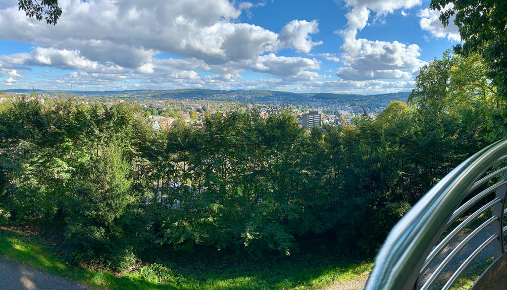 Blich über Landschaft mit Bäumen und Stadt im Hintergrund